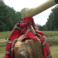 Bravoure in de Drijflanen