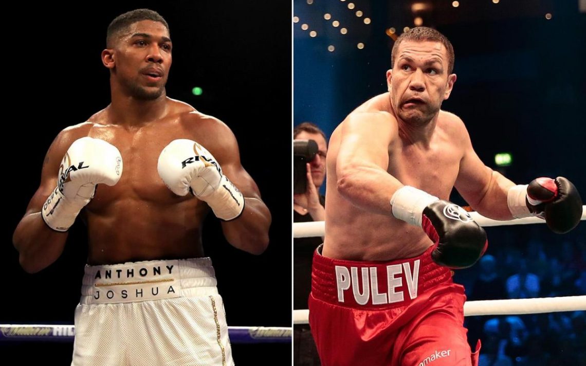 Joshua vs Pulev